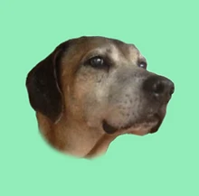 grandulon.png
