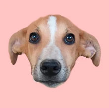 misissipi.png