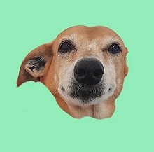 Luna.png